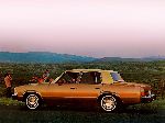  33  Chevrolet Malibu  (1  1978 0)