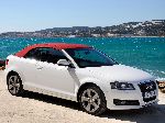  24  Audi () A3  (8P/8PA [2 ] 2008 2013)
